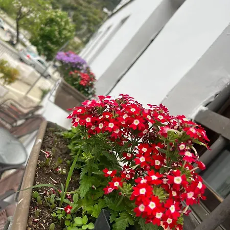 Omer Hotel *