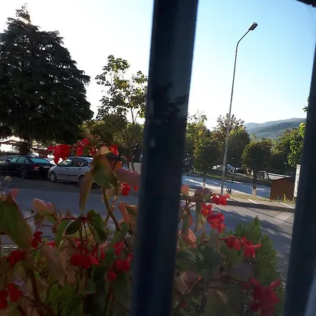 Hotel Omer *